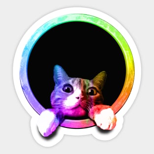 Peeking Circle Cat Sticker